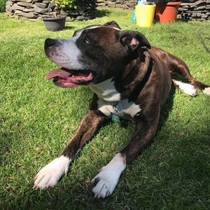 Meet your Posher, Todd-jazz